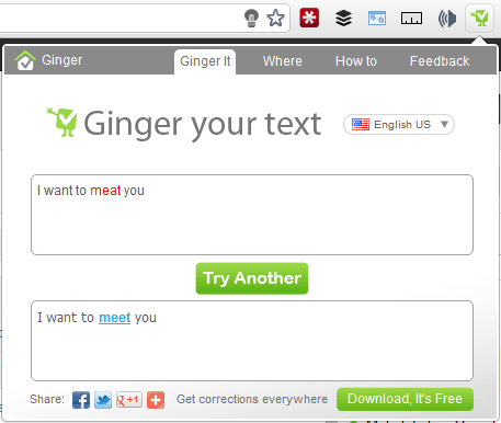 Ginger Ginger